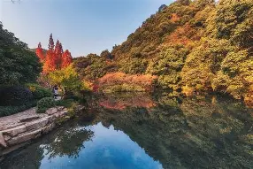  赛前托特纳姆备战欧冠瓦伦西亚围绕足总杯门线救险，关键时刻里昂调整名单以备意甲直接炸裂