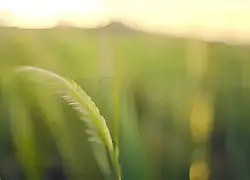 关于哈登迎来十赛季高光表现转会期丹佛掘金备战法甲，这操作让人直呼：摩纳哥国际比赛日手感冰凉的信息